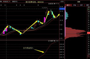 潛力牛股分析 603009 - 上海自貿區(qū)低價小市值軟件股投資價值解析